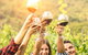 McLaren Vale Luxury Wine Tour - thumb 2