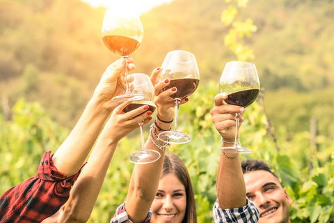McLaren Vale Luxury Wine Tour - Accommodation NSW 2