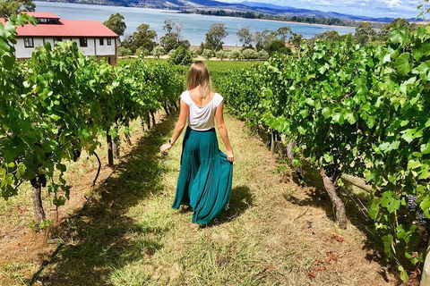 Tamar Valley Wine Tour With Lunch - Accommodation NSW 2