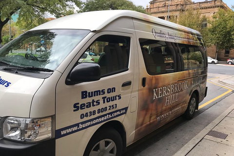 Brisbane City Highlights With Lone Pine! - Accommodation NSW 0