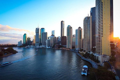 Brisbane City Highlights With Lone Pine! - Accommodation NSW 3