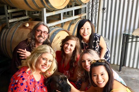 Mclaren Vale Luxury Full Day Small Group Wine Tour - Accommodation NSW 1