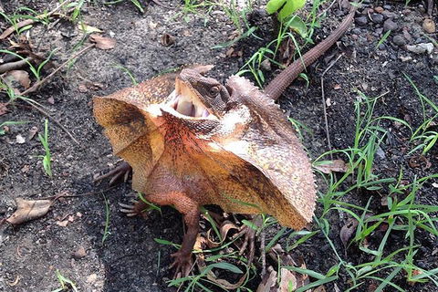 Litchfield National Park And Jumping Crocodile Cruise - Accommodation NSW 1