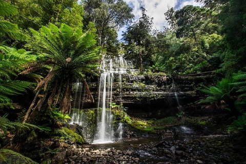 3-Day Tour To The Falls, Mountains, Lake & More Of West Coast Tasmania - Accommodation NSW 4