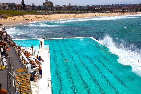Private Sydney Half Day Tour Including Sydney Opera House And Bondi Beach - Accommodation NSW 1