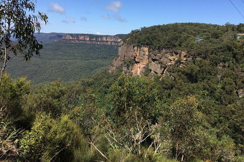 Full-Day Private Blue Mountains Tour With River Cruise - Accommodation NSW 1