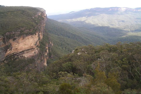Full-Day Private Blue Mountains Tour With River Cruise - Accommodation NSW 3