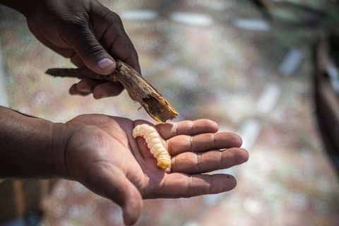 Karrke Aboriginal Cultural Experience - Accommodation NSW 3