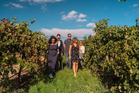 Barossa Valley Private Tour (from 2 To 11 People) - Accommodation NSW 0