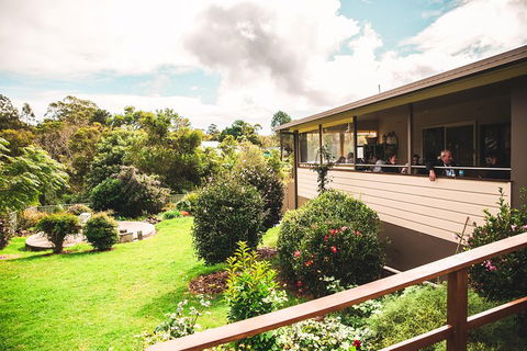 Full-day Springbrook National Park Tour From The Gold Coast - Accommodation NSW 2