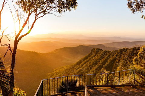 O'Reilly's & Lamington National Park Incl. Alpaca Farm + Vineyard - Accommodation NSW 0