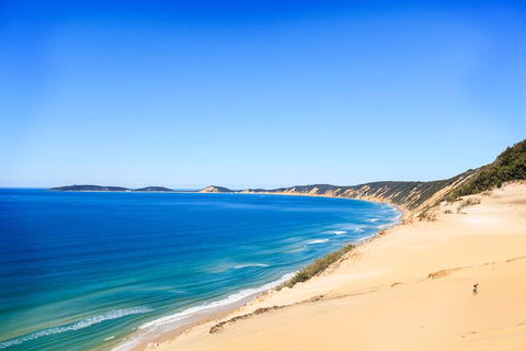 Kayak With Dolphins And 4WD Great Beach Drive Day Trip From Noosa - Accommodation NSW 0