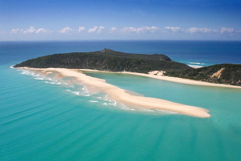 Kayak With Dolphins And 4WD Great Beach Drive Day Trip From Noosa - Accommodation NSW 5