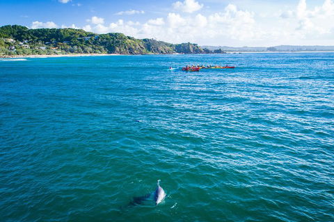 The Byron Bay Sea Kayak Tour - Accommodation NSW 2