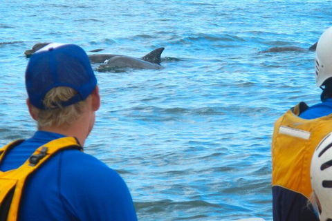The Byron Bay Sea Kayak Tour - Accommodation NSW 4