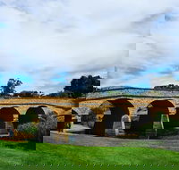 Tasmania 6 Day 'Tour in Circle' - Accommodation NSW