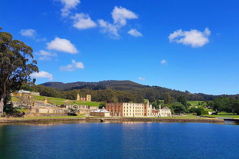 Tasmania 4 Day East Coast + Launceston - Accommodation NSW 0