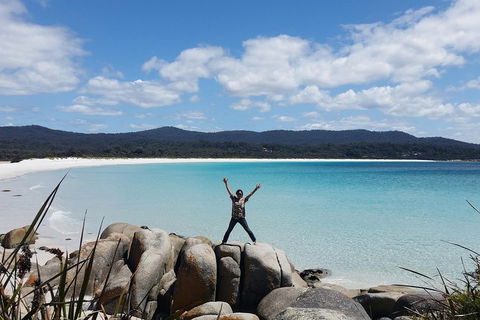 Tasmania 4 Day East Coast + Launceston - Accommodation NSW 1