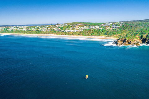 Noosa Oceanrider Scenic Dolphin Safari - Accommodation NSW 4