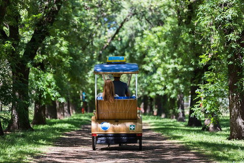 Adelaide 90-Minute Pedicab Tour: Scenic Green & River Experience - Accommodation NSW 2