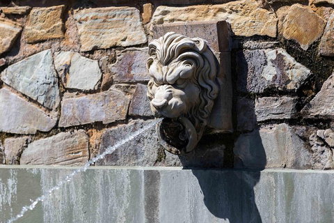 Adelaide 90-Minute Pedicab Tour: Scenic Green & River Experience - Accommodation NSW 3