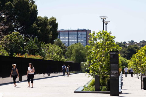 Adelaide 90-Minute Pedicab Tour: Scenic Green & River Experience - Accommodation NSW 4