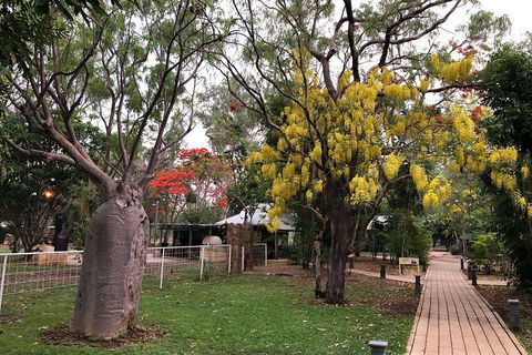 Wet Season Mitchell Falls Tour - Mitchell Falls, Horizontal Falls & Cygnet Bay - Accommodation NSW 1