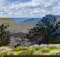 Blue Mountains Private Tour - wild kangaroos waterfalls and The Three Sisters - Accommodation NSW