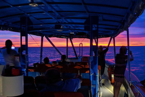 Darwin Sunset Cruise Including Fish 'n' Chips - Accommodation NSW 1