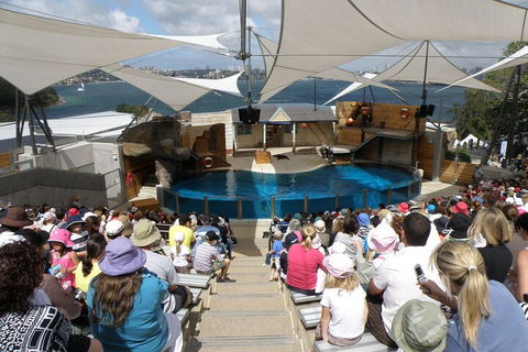 Sydney Taronga Zoo General Entry Ticket - Accommodation NSW 5
