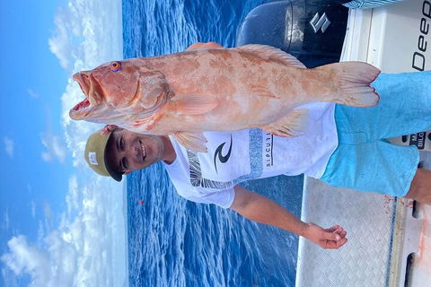 3/4 Day 7 Hour Offshore Fishing Charter - Accommodation NSW 5