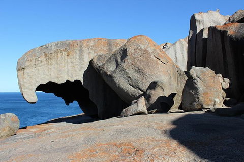 Kangaroo Island Personal Group Tours - Accommodation NSW 2