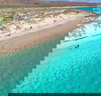 Ningaloo in a Day - Full Day Hike and Snorkel Tour with Lunch - Accommodation NSW