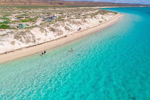 Ningaloo In A Day - Full Day Hike And Snorkel Tour With Lunch - Accommodation NSW 0