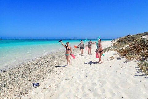 Ningaloo In A Day - Full Day Hike And Snorkel Tour With Lunch - Accommodation NSW 1