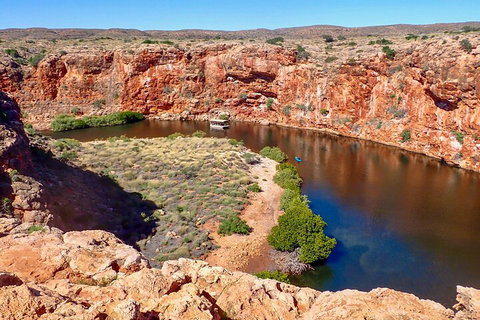 Ningaloo In A Day - Full Day Hike And Snorkel Tour With Lunch - Accommodation NSW 2