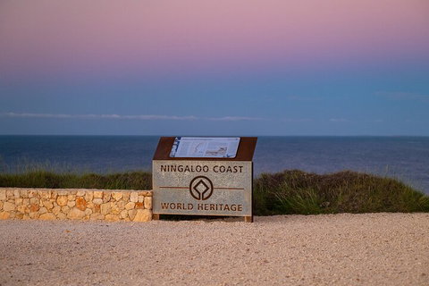 Ningaloo In A Day - Full Day Hike And Snorkel Tour With Lunch - Accommodation NSW 5