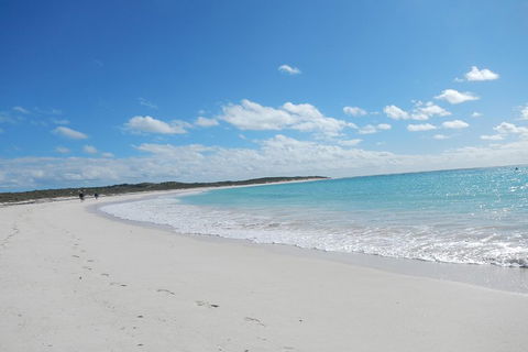 Shipwreck Special Nature Tour/Half Day Tour - Accommodation NSW 0