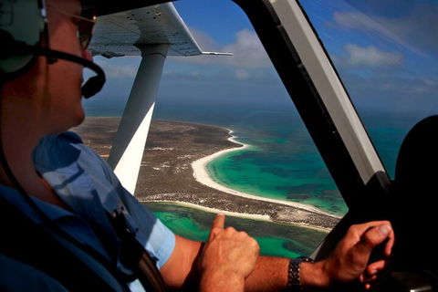 Shipwreck Special Nature Tour/Half Day Tour - Accommodation NSW 1
