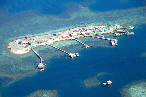 Shipwreck Special Nature Tour/Half Day Tour - Accommodation NSW 2