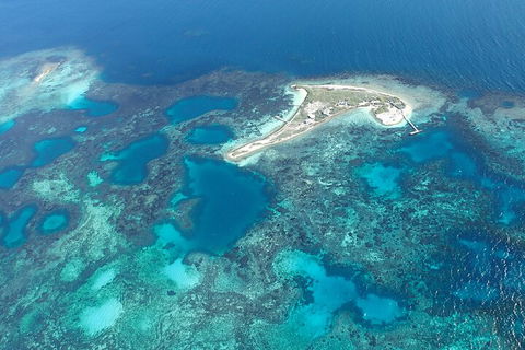 Shipwreck Special Nature Tour/Half Day Tour - Accommodation NSW 5