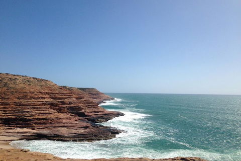 Kalbarri, Pink Lake And Abrolhos Islands Nature Tour - Accommodation NSW 0