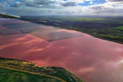 Kalbarri, Pink Lake And Abrolhos Islands Nature Tour - Accommodation NSW 1