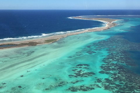 Kalbarri, Pink Lake And Abrolhos Islands Nature Tour - Accommodation NSW 3