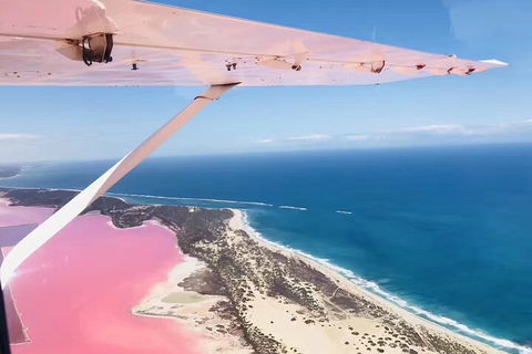 Kalbarri, Pink Lake And Abrolhos Islands Nature Tour - Accommodation NSW 4