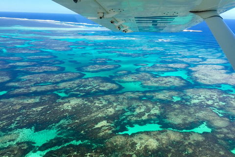 Kalbarri, Pink Lake And Abrolhos Islands Nature Tour - Accommodation NSW 5