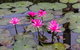 Kakadu, Nourlangie And Yellow Waters Tour From Darwin - thumb 1