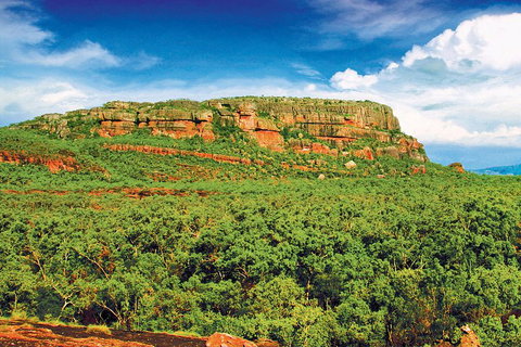 Kakadu, Nourlangie And Yellow Waters Tour From Darwin - Accommodation NSW 3