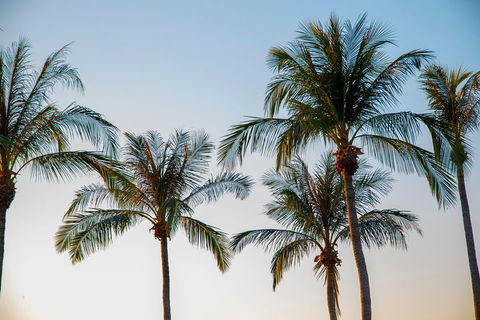 Darwin City Sightseeing Tour - Accommodation NSW 0