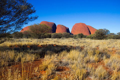 Kata Tjuta Sunrise And Valley Of The Winds Half-Day Trip - Accommodation NSW 1